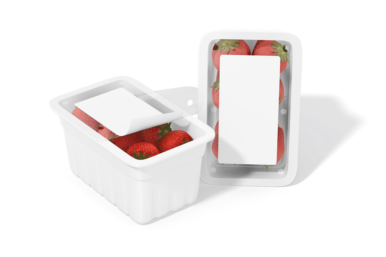 Top vaschetta ortofrutta in PET e materiali compostabili